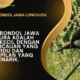 Burung Bondol Jawa Lonchura