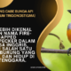 Burung Cabe Bunga Api (Dicaeum Trigonostigma)