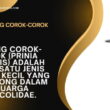 Burung Corok-corok