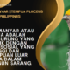 Burung Manyar | Tempua Ploceus Philippinus
