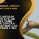 Burung Merbah / Cerucuk pycnonotus golavier