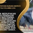 Burung Merpati Batu atau Columba livia