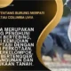 Burung Merpati Batu atau Columba livia