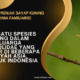 Burung Prenjak Sayap Kuning (Prinia Familiaris)