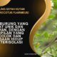 Burung Sepah Hutan Perierocotus Flammeus